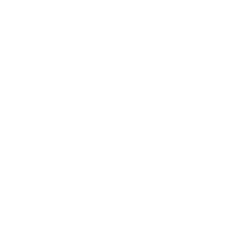 Icon Schlüssel